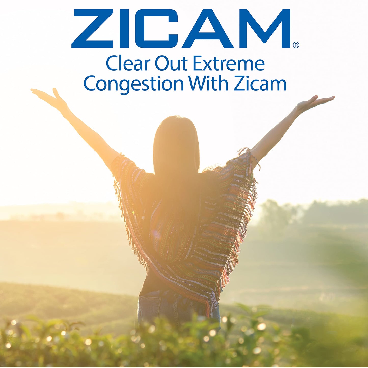Zicam Extreme Congestion Relief No-Drip Liquid Nasal Spray with Soothing Aloe Vera, 0.5 Ounce (Pack of 2)
