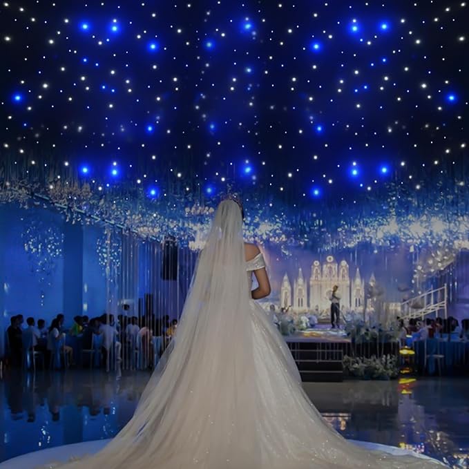 TBVECHI 10ft x 20ft Stage Star Curtain Backdrops, 110v LED Stage Backdrop for Birthday Party Club Wedding Curtain Stage De...