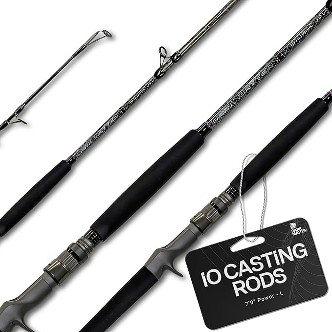 Dark Matter IO Casting Rod Fast Action Fishing Rods for Saltwater Rod and Sea Fishing Rod - Carbon Fishing Rod, Medium Hea...