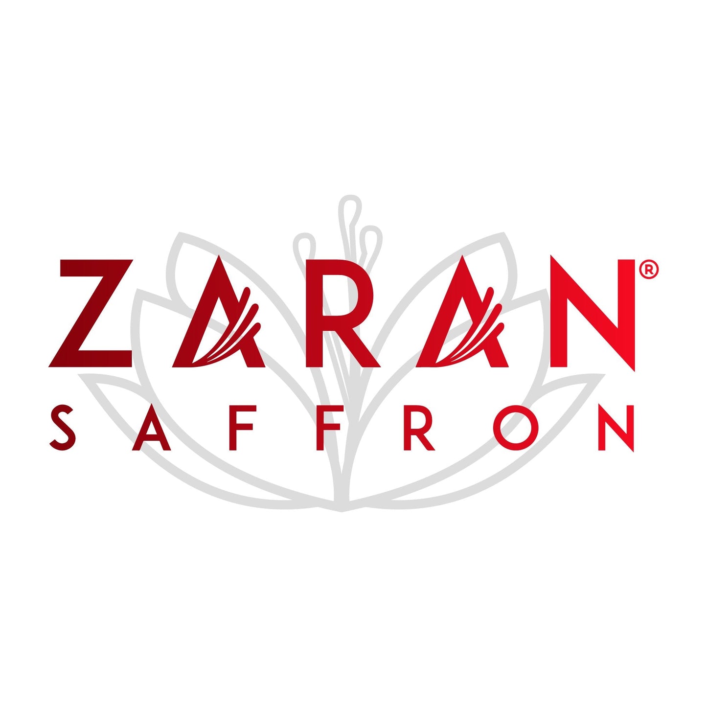 Zaran Saffron, Superior Saffron Threads (Super Negin) Premium grade Saffron Spice for Paella, Risotto, Tea's, and all Culinary Uses (4 Grams)