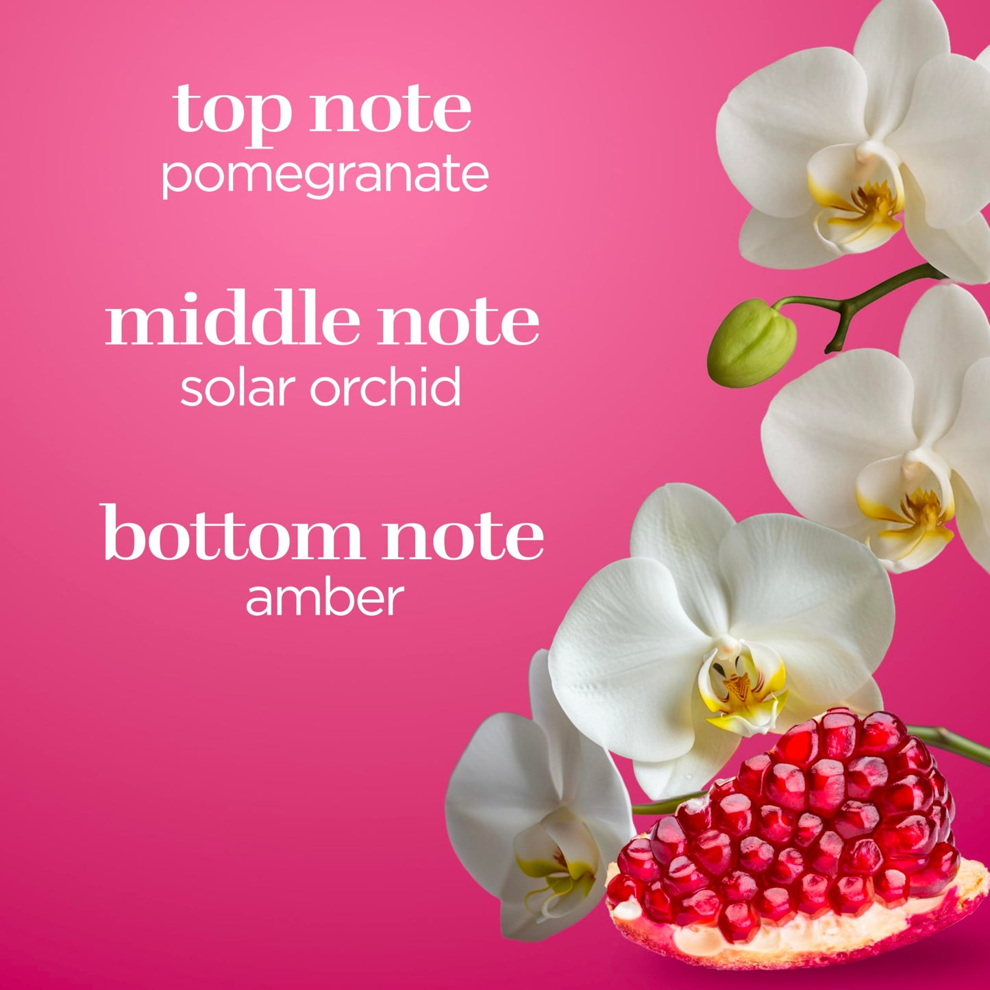 Body Fantasies Signature Fragrance Body Spray, Dreamy Pomegranate, 8 fl oz