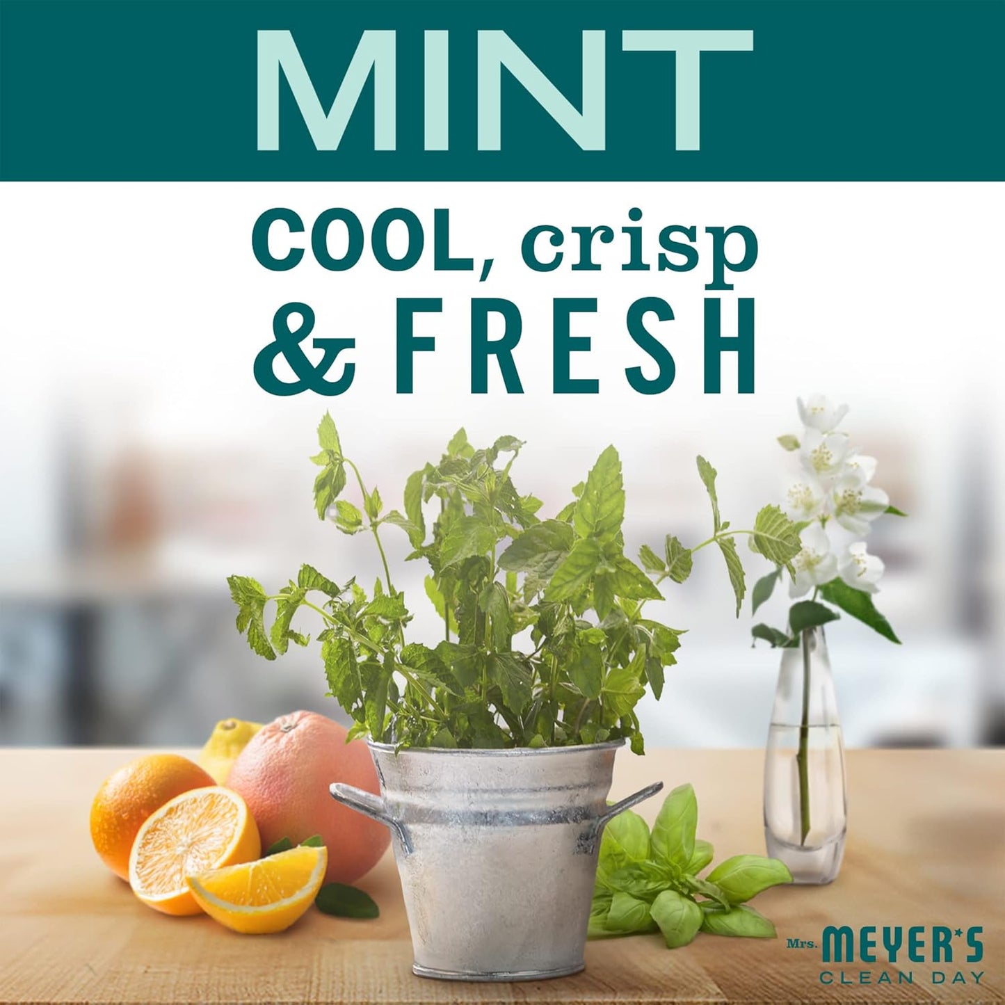 MRS. MEYER'S CLEAN DAY Liquid Dish Soap, Biodegradable Formula, Limited Edition Mint, 16 fl. oz - Pack of 6