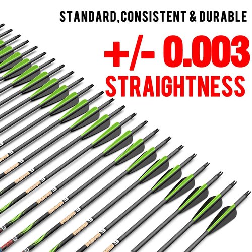sanlida 24 PCs, 100% Pure Carbon, 0.003'' Straightness, Dragon 9 Flagship 24T Carbon Hunting Arrows for Compound Bow, Professional Standard Hunting Arrows with Removable Tips (300 Spine)
