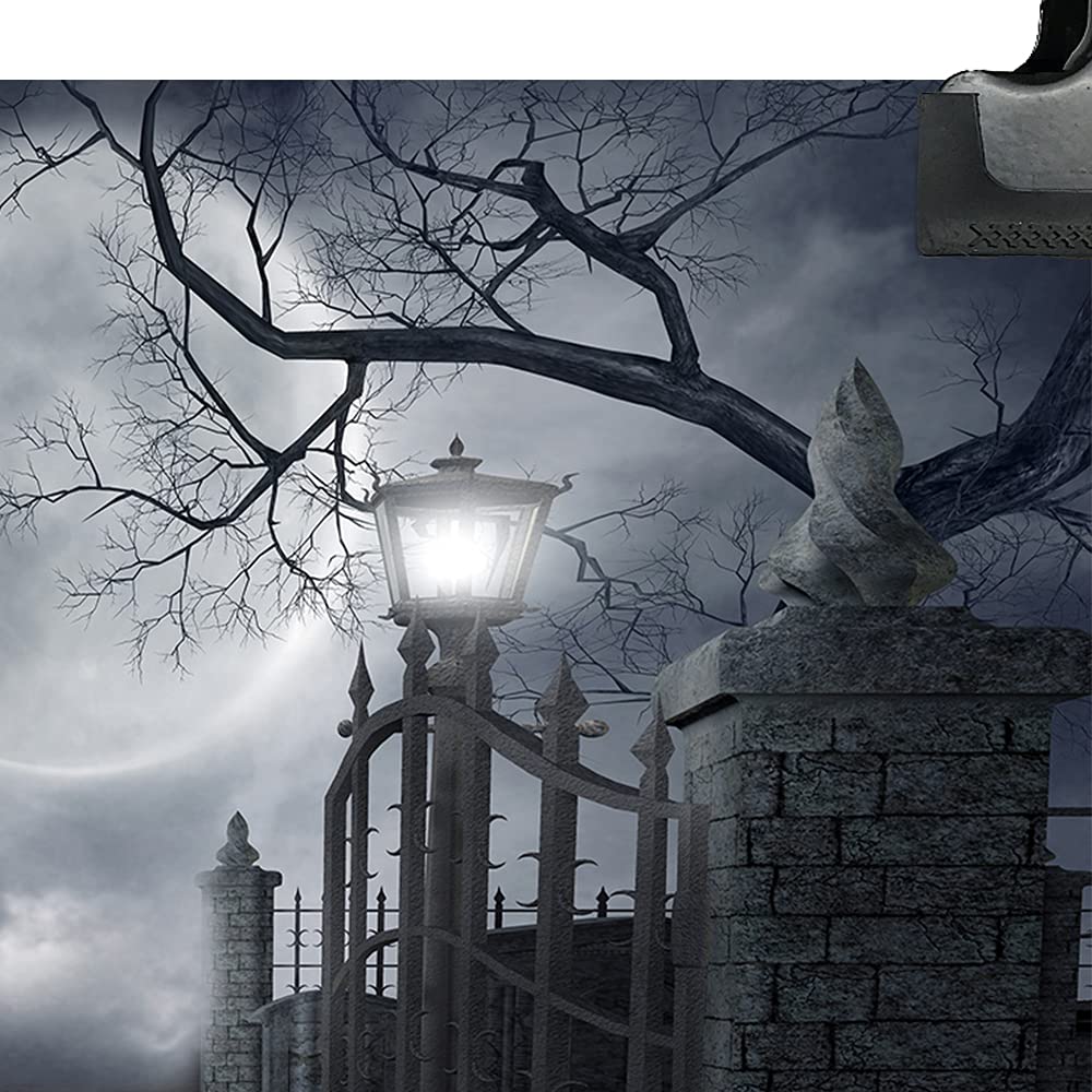 OUYIDA Halloween Night Full Moon Backdrop Gloomy Woods Graveyard Photography Background Horrible Cemetery Spooky Party Banner Halloween Party Decoration Photo Booth Props 10X8FT TP17H