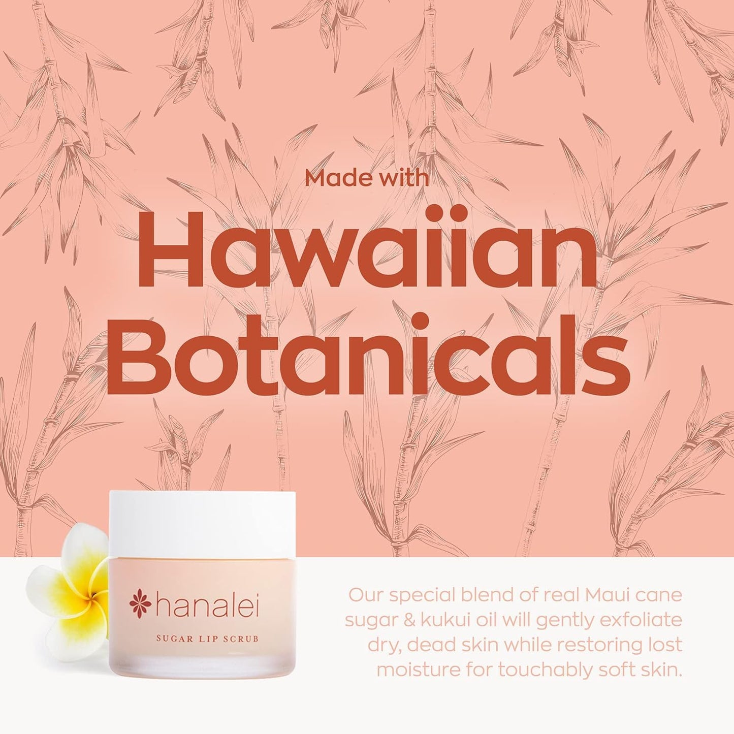 Hanalei Vegan Sugar Lip Scrub Exfoliator - Hawaiian Cane Sugar, Kukui Oil & Shea Butter for Smooth, Hydrated Lips - Natural, Cru