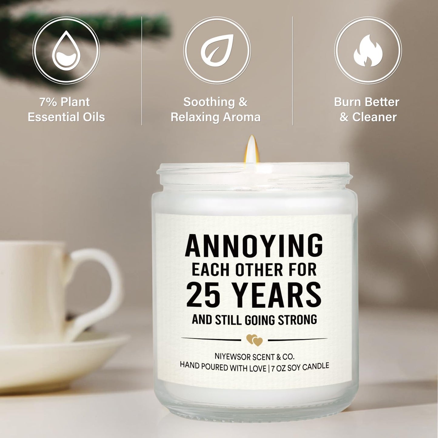 Niyewsor 25th Wedding Anniversary Couple Gifts, 25th Anniversary Candle Gift for Couples, Parents, Husband, Wife, Him, Her, Friends, Sliver Wedding Keepsake, 7oz