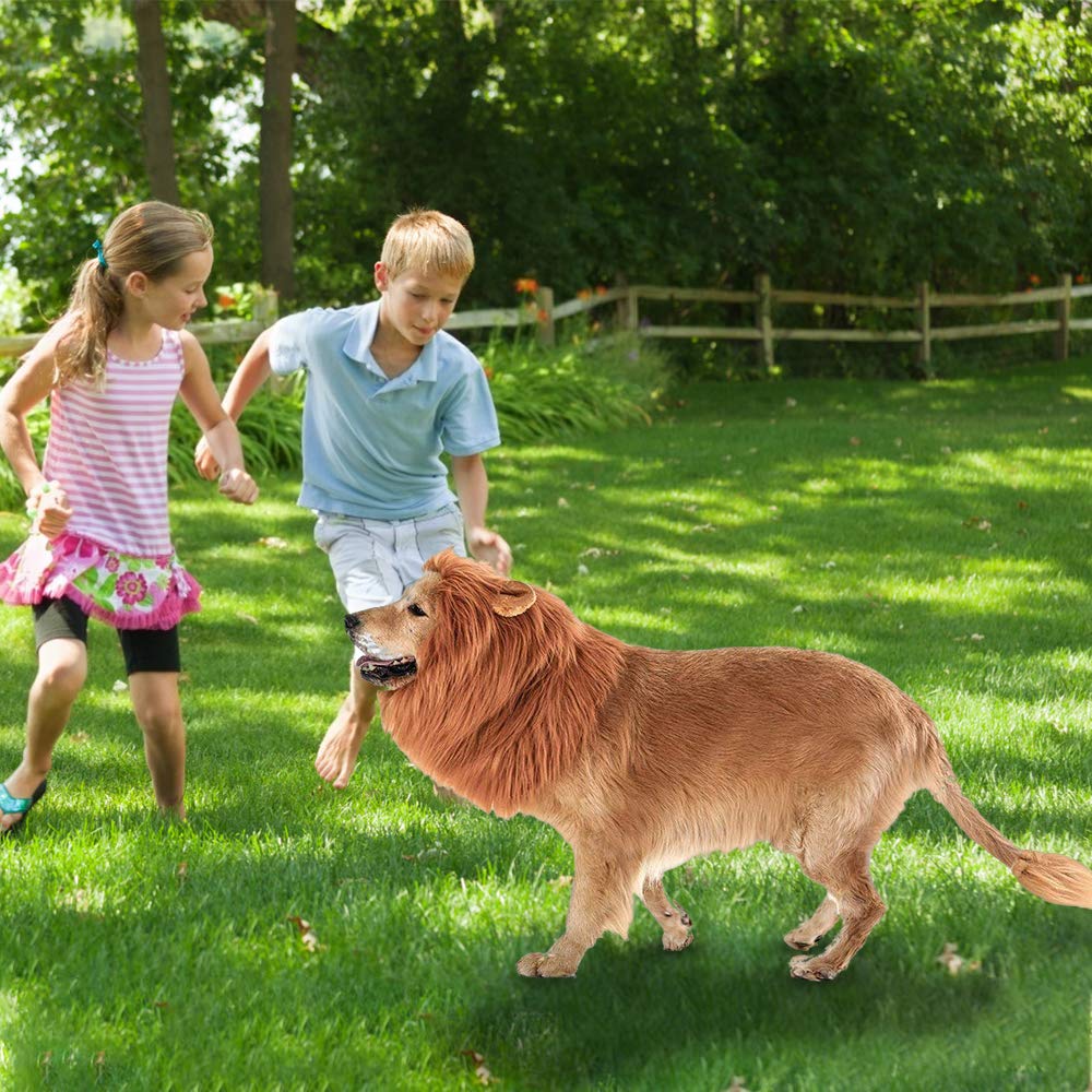 RWM Dog Lion Mane Costume - Pet Wig Clothes for Halloween Party - Lion Wig for Medium to Large Sized Dogs Lion Mane Funny Dogs