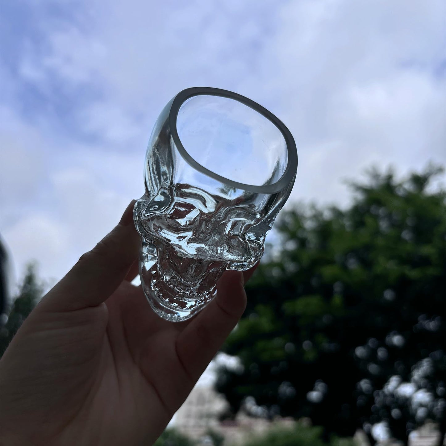 Funny Skull Shot Glass, (6pcs) 80ML (2.7oz) Small Wine Glasses Drinking Vodka Spirits Cup, Halloween Themed Party Holiday Gifts - 2.8 oz, Set of 6