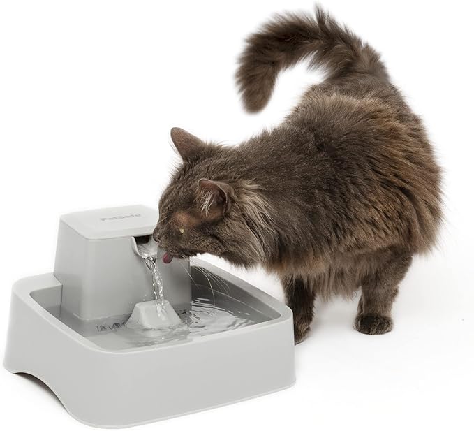 PetSafe Oasys 1/2 Gallon Pet Fountain - Cat & Dog Hydration Station with Free-Falling Water Stream & Customizable Flow - E...