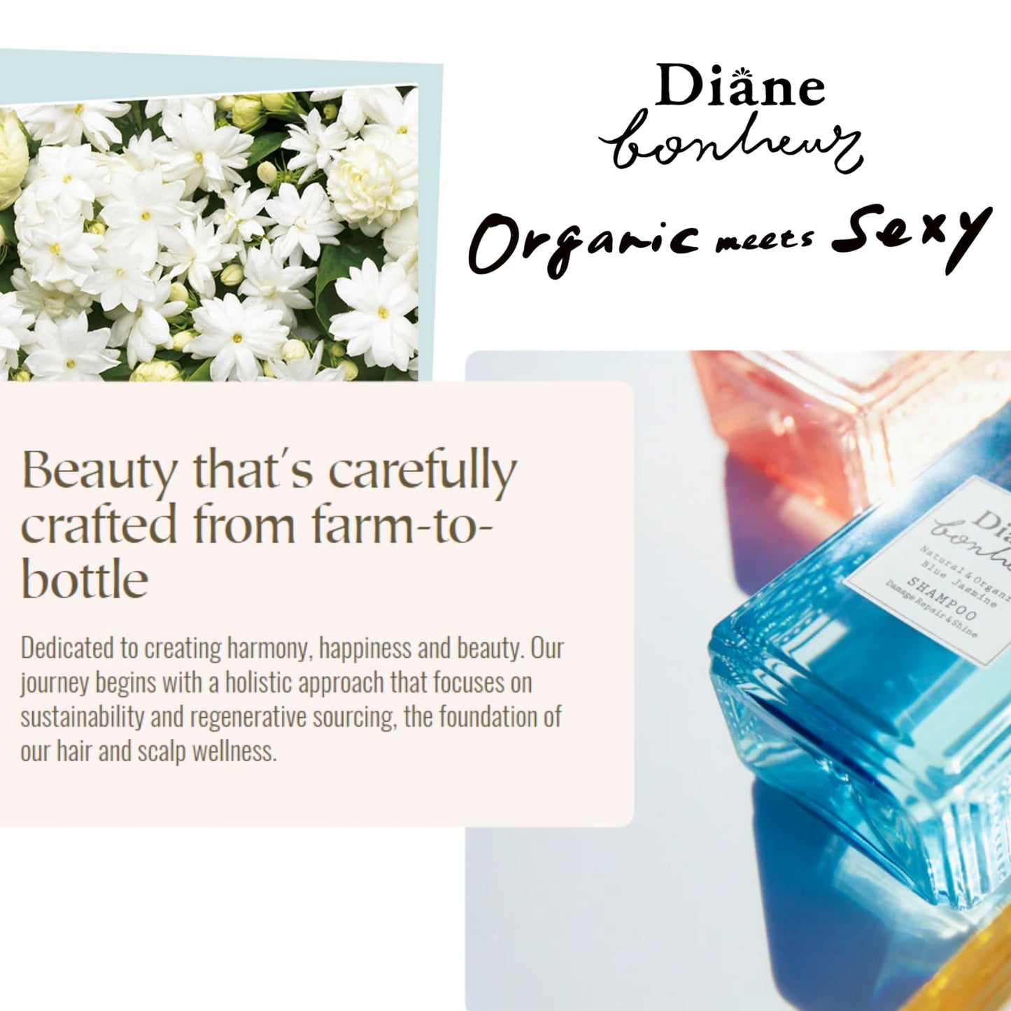 Moist Diane Hydrating Hair Shampoo for Women & Men, Japanese Natural Moisturizing Haircare, Nourishing Dry & Frizz Shampoo with