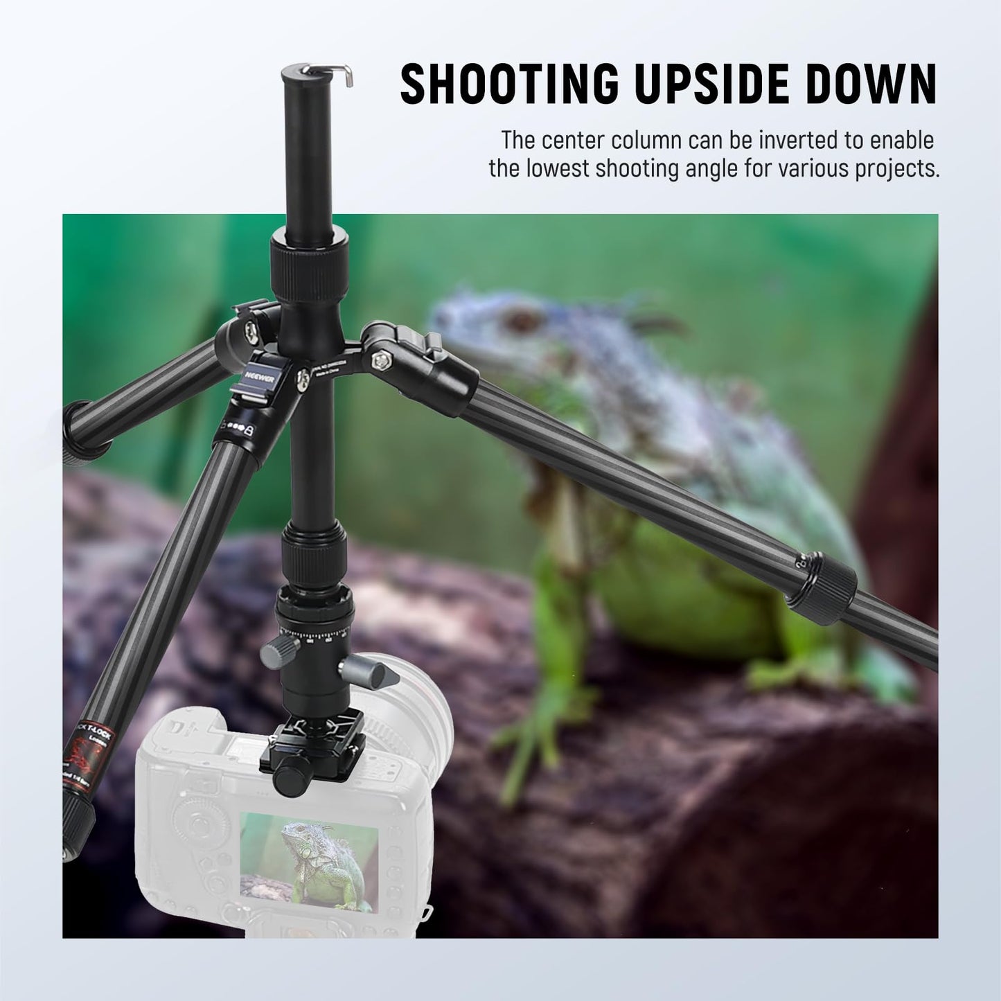 NEEWER Carbon Fiber Camera Tripod Monopod, 65" Lightweight Compact Portable Travel DSLR Video Stand, 360° Ball Head, Anti Slip QR Plate, Inverted Central Axis, Reversible Legs, Max Load 13.2 lbs, TP39