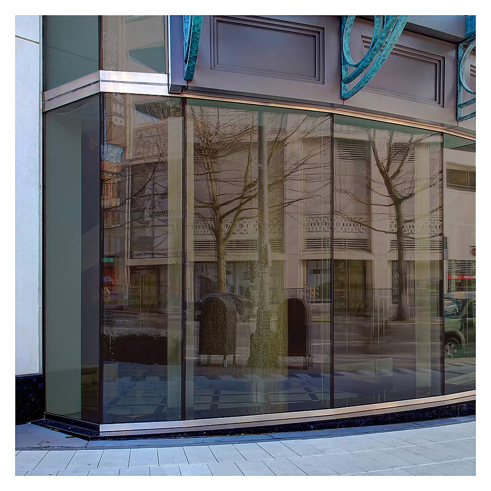 BDF PRBR Window Film Premium Color High Heat Control and Daytime Privacy Bronze Outside, Silver Inside - 36in X 7ft