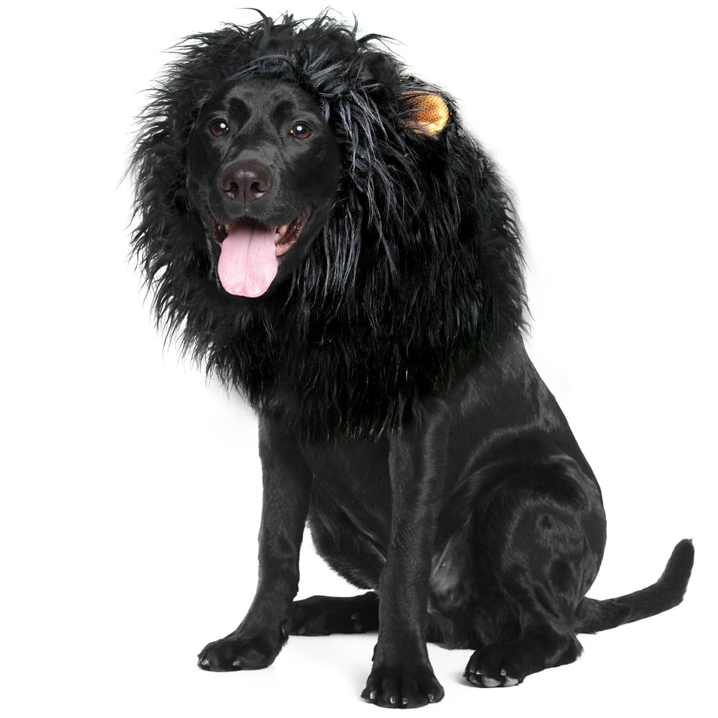 Realistic & Funny Lion Mane for Dogs, Dog Costume Complementary Lion Mane for Dog Halloween Costumes for Medium to Large Sized Dogs, Funny Dog Cosplay Vivifying Lion Mane Wig Accessory (Black)
