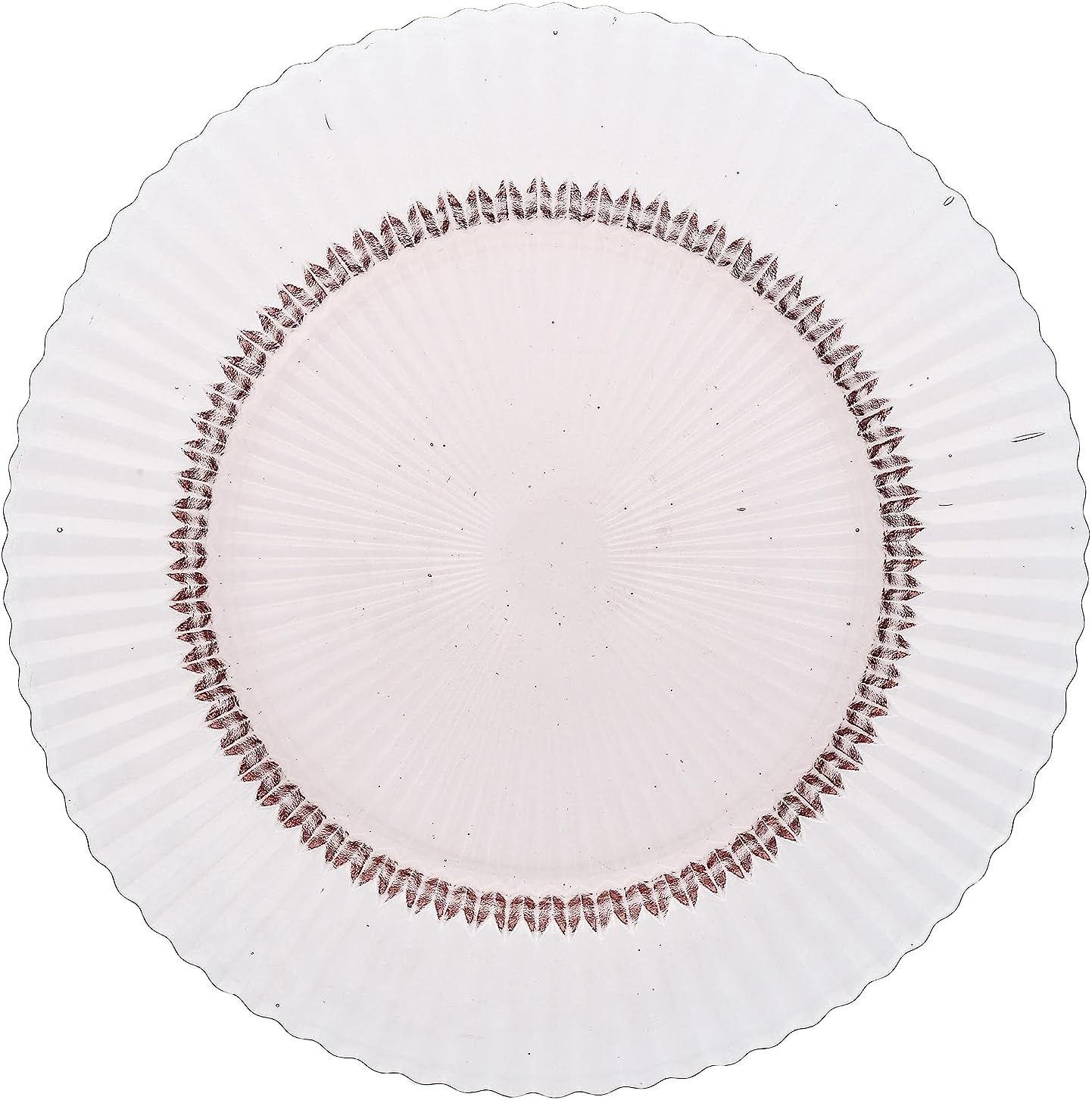 Fortessa Archie Glass Dinner Plate, 10.6 Inch, Pink