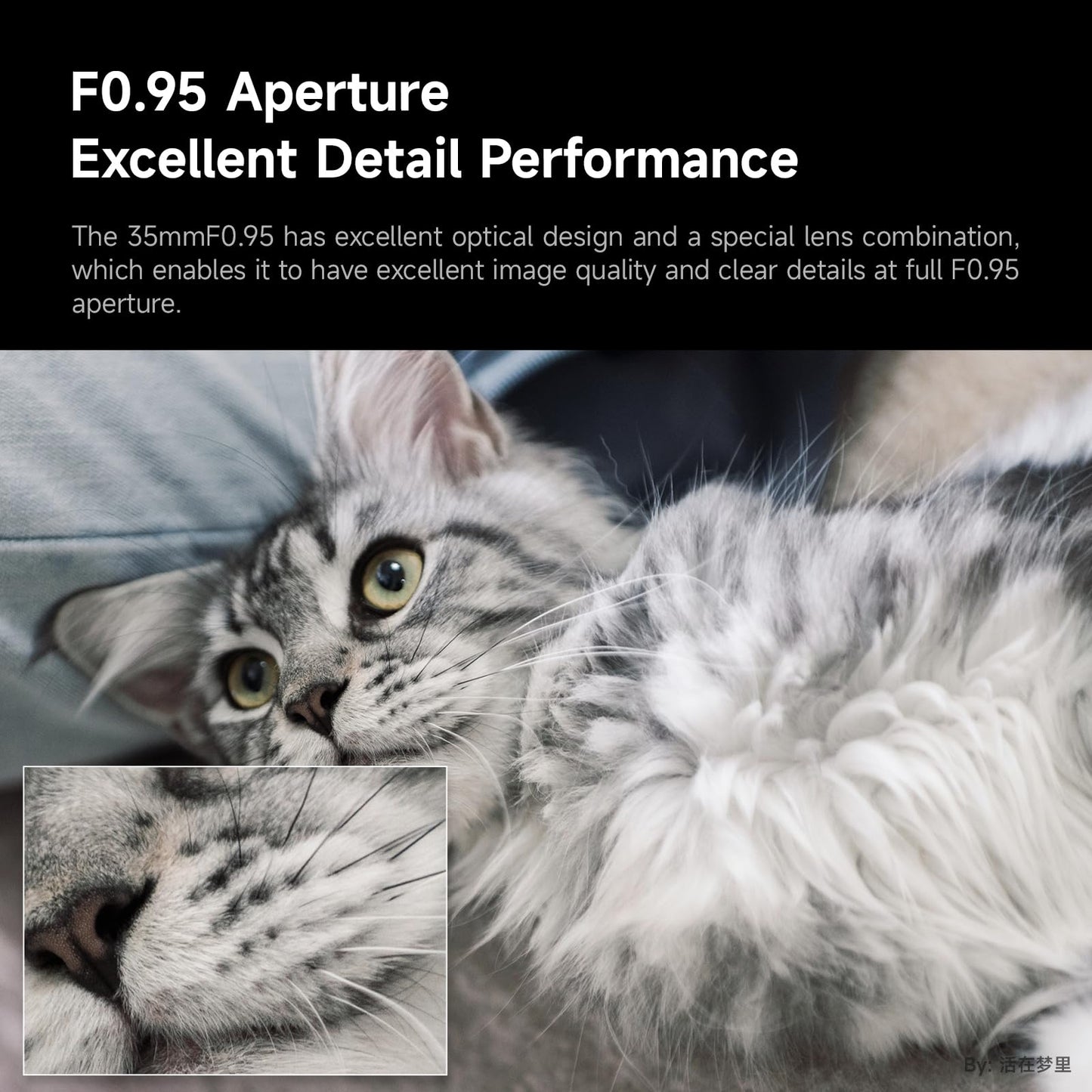 Brightin Star 35mm F0.95 APS-C Manual Focus Prime Lens for Fujifilm XF Mount Mirrorless Cameras, Large Aperture Fixed Lens, Fit for XT5, XT4, XT30, XPRO3/1, XT200, XS10, XA7, XE4, XH1(Silver)