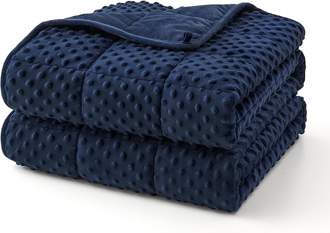 Topcee Weighted Blanket for Adults (15lbs 48"x72"), Minky Dots Heavy Blanket for 140-160lbs Sleeping, Soft, Cozy and Cooling Weighted Throw Blankets, Machine Washable, Blue