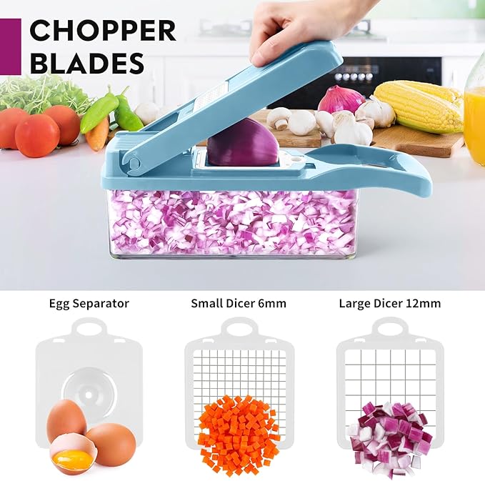 Vegetable Chopper Pro, Multifunctional 13 in 1 Food Chopper, Kitchen Vegetable Slicer Dicer Cutter With 8 Blades for Onion Carrot and Garlic With Container (Blue)