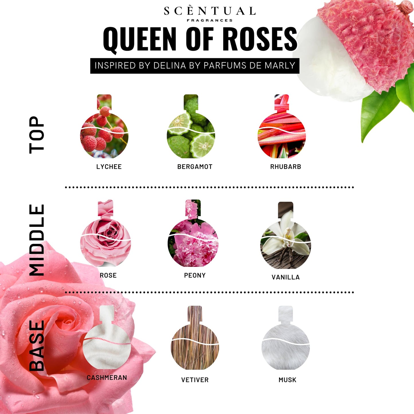 Scentual Fragrances, Luxury Perfume Oil, Ultra-Concentrated Women Roll-On Fragrance Oil, Long Lasting Rollerball Travel Mini Perfume, Vegan, Alcohol & Cruelty Free 10ml (Queen of Roses)