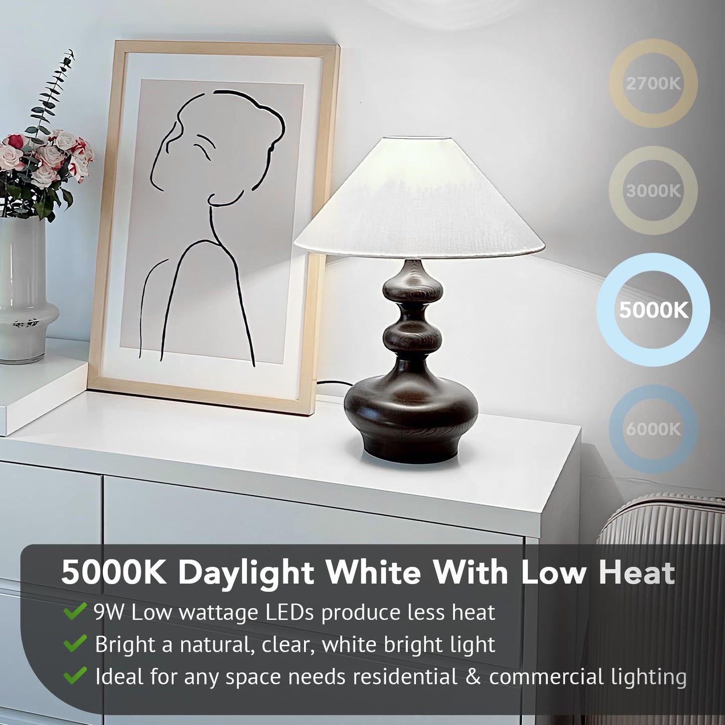Maylaywood 24-Pack A19 LED Light Bulbs, 60W Equivalent, Daylight White 5000K, E26 Base, 850 Lumen, Non-Dimmable, 9W Bright White LED Bulb