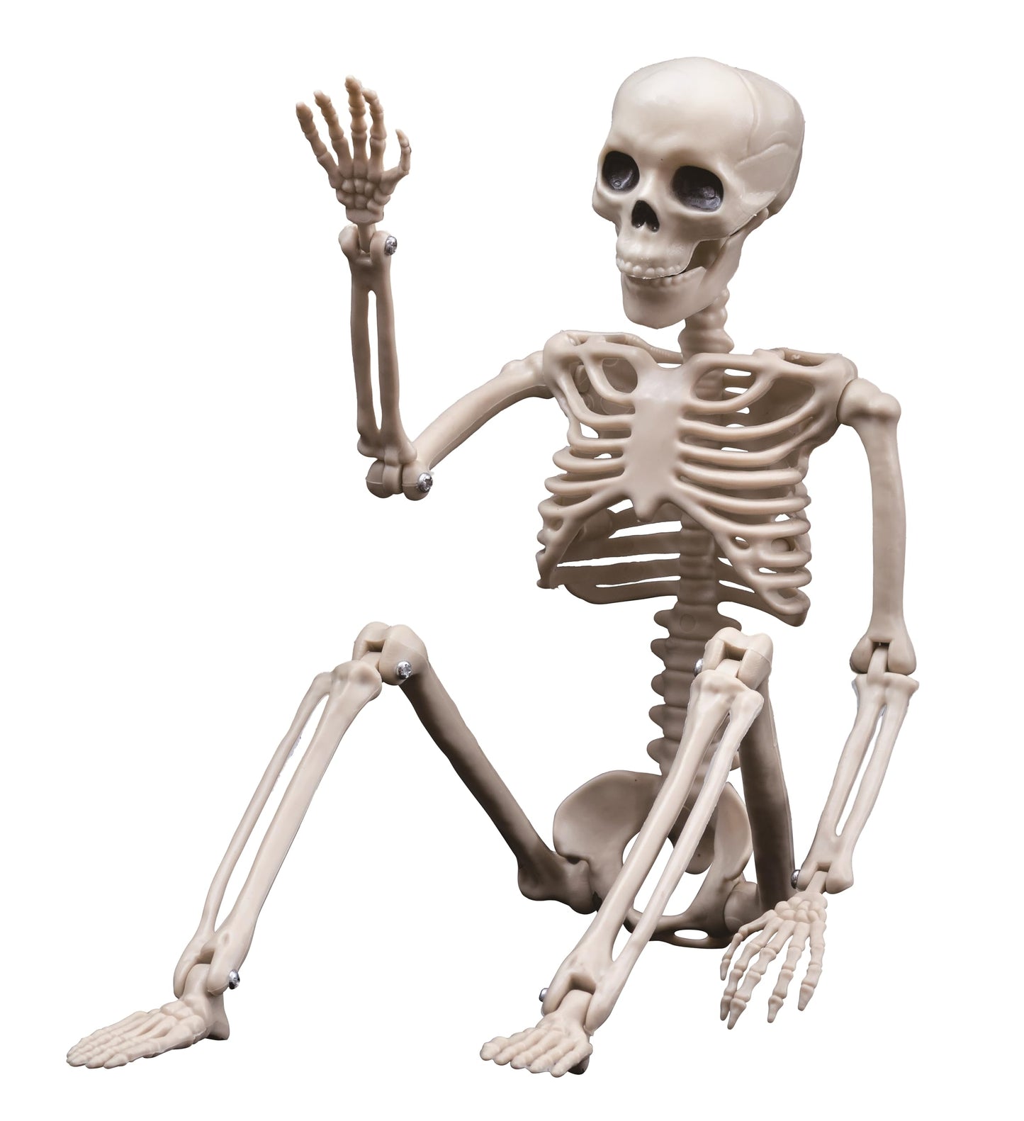 Daricano Halloween Decoration Outdoor Skeleton, 16" Plastic Posable Skeleton with Movable Joints, Small Hanging Skeletons for Halloween Decor, Haunted House Graveyard Props