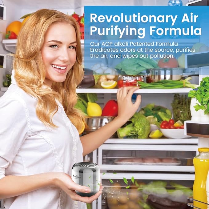 Fridge Deodorizer – 1 Pack Refrigerator Odor Eliminator, Lasts 10 Years, Chemical-Free Fresh Odor Eliminator Kit, More Effective Than Baking Soda, for Kitchen Appliances, Closet, Car, Pet Areas-Silver
