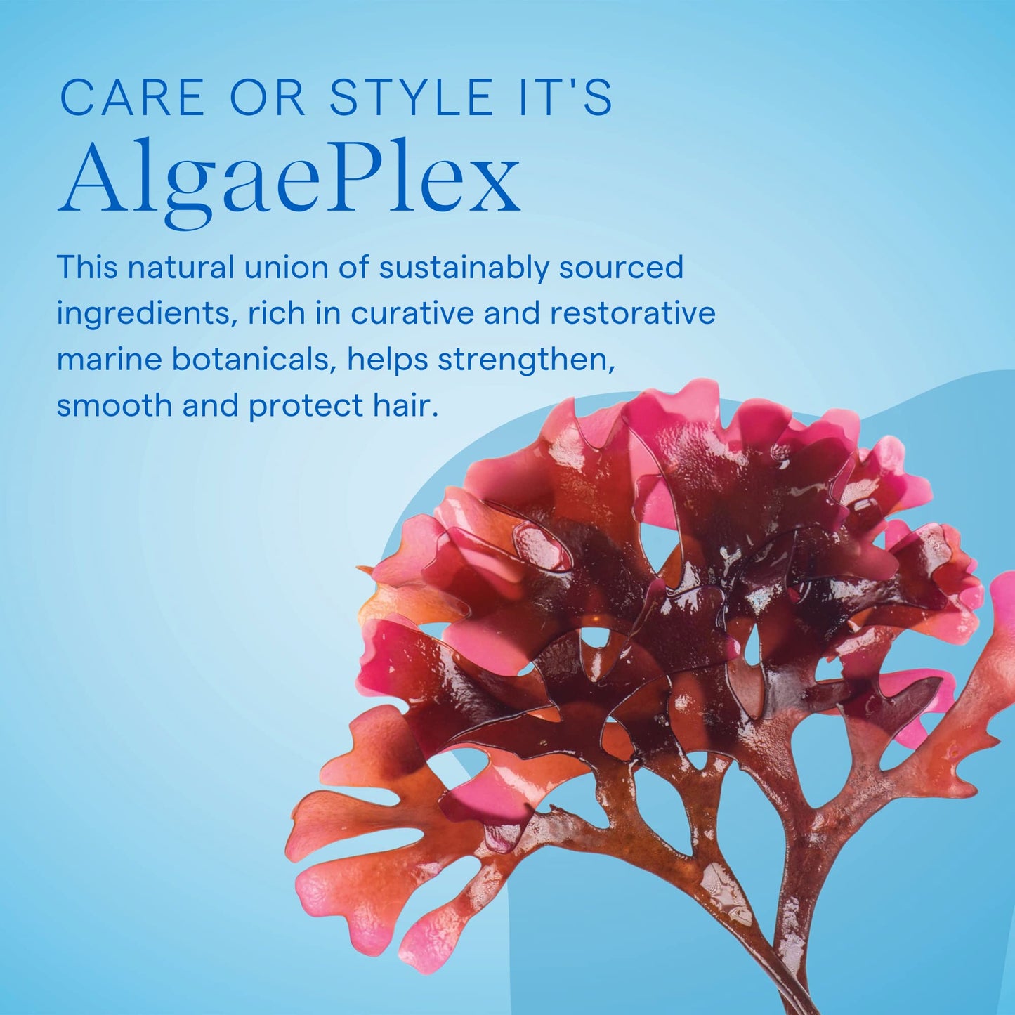AQUAGE Molding Megagel - Professional Firm-Hold Styling Gel for Wet Looks, Sculpted Blowouts & High-Gloss Finish - Lightweight,