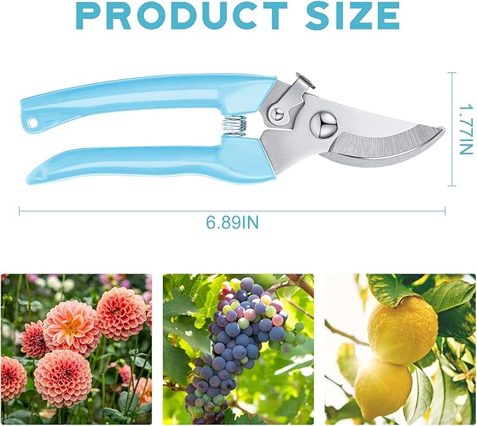 Lothee 12 Pcs Gardening Scissors Pruning Shears Stainless Steel Plant Scissors Flower Cutters for Stems Flower Clippers Garden Pruners for Cutting Flowers, Plants, Light Branches and Picking Fruits