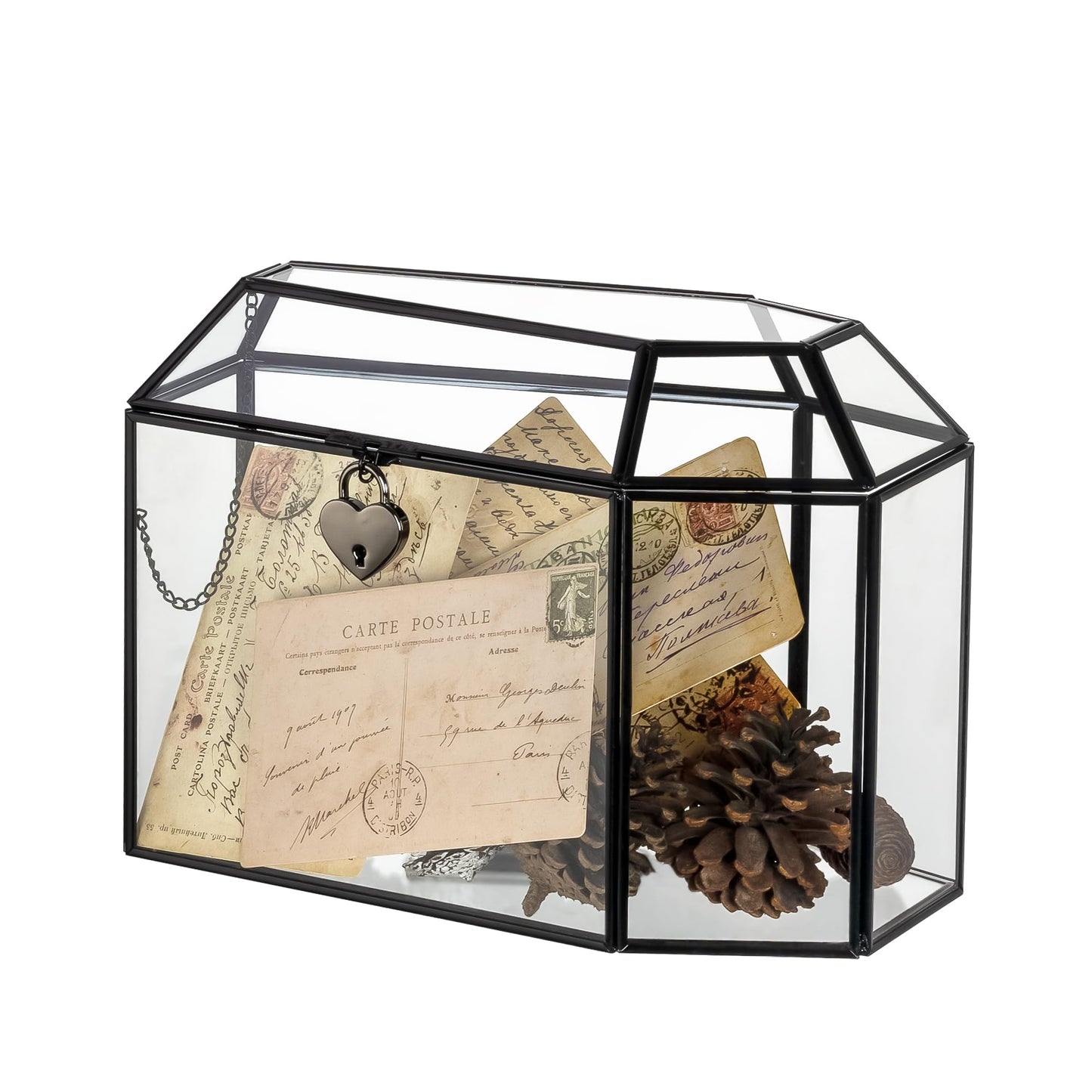 NCYP Gothic Glass Box with Swing Lid and Lock, Geometric Keepsake Card Display Organizer for Wedding Party - Halloween Decoration, Black Coffin-Shaped Terrarium, 10.4" x 5.7" x 7.5" (Glass Box Only)