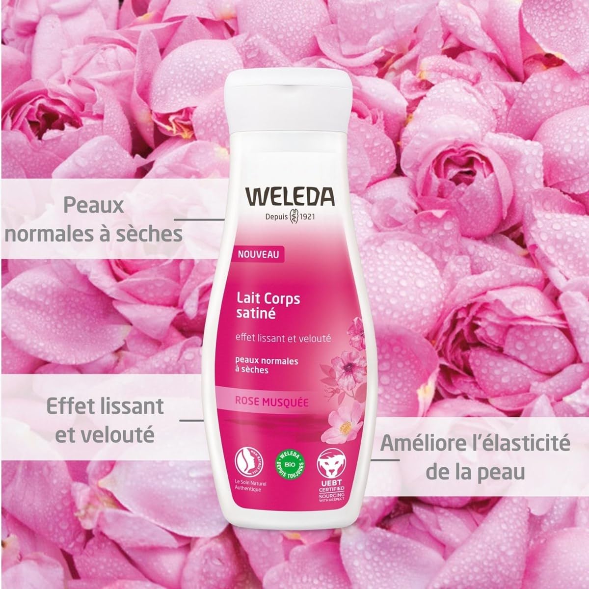 Weleda Pampering Wild Rose Body Lotion, Plant Rich Moisturizer with Wild Rose Oil, Jojoba Oil and Shea Butter, 6.8 Fl Oz (Pack o