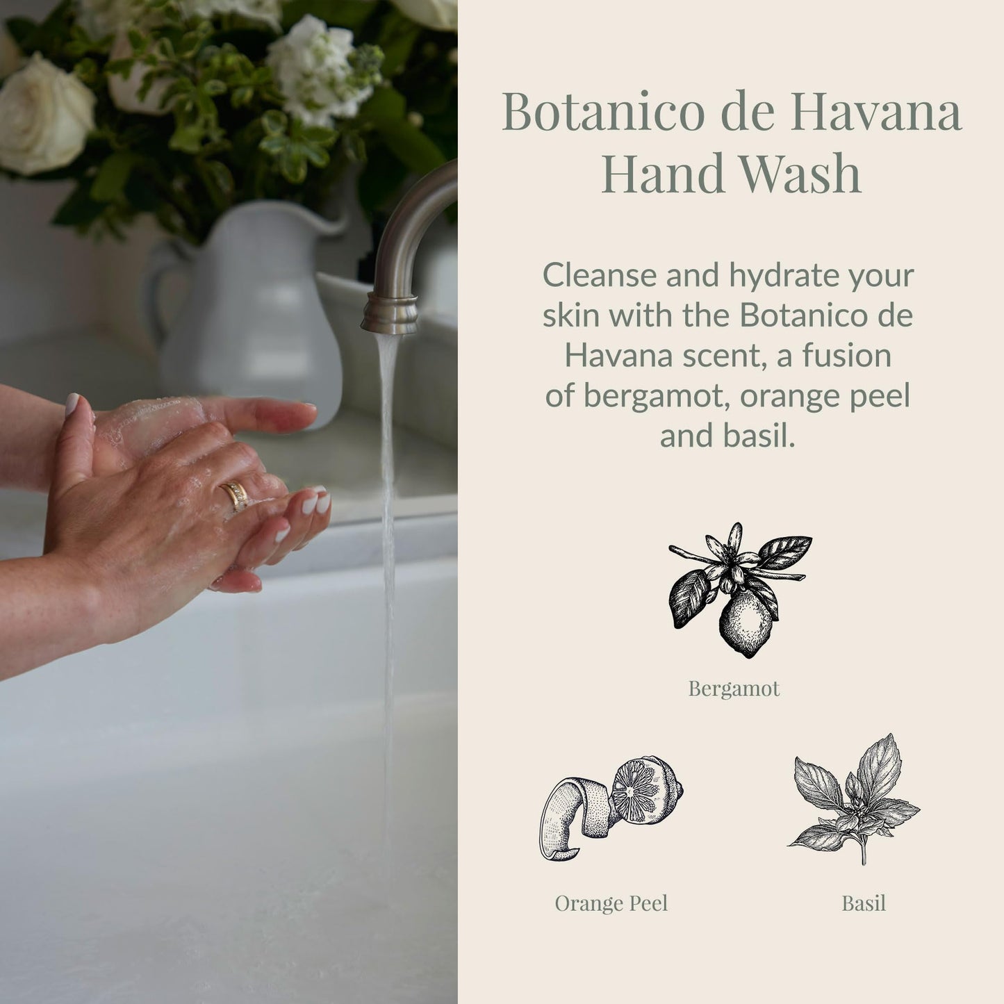 Archipelago Botanicals Botanico de Havana Liquid Hand Soap, Moisturizing Daily Hand Wash with Soap Pump, Kitchen or Bathroom Han