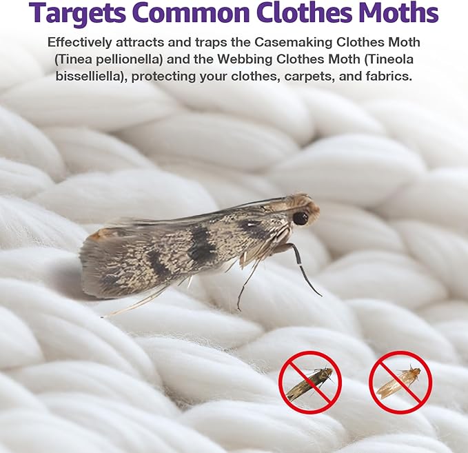 Clothing Moth Traps 6 Pack Moth Traps for Clothes with Pheromone Attractant Odorless Sticky Glue Trap for Closet Carpets Odor-Free & Natural (6)