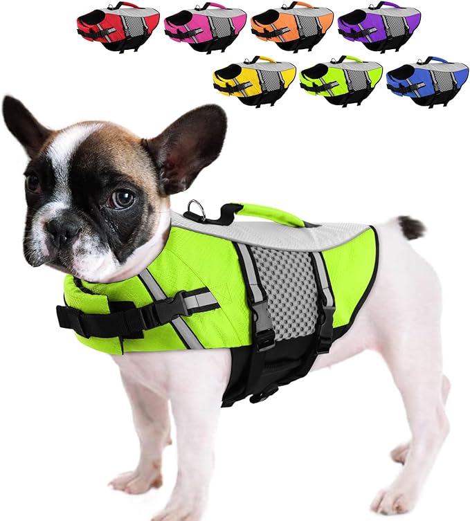 Queenmore Dog Life Jacket Small Float Vests for Swimming Boating Kayaking Mediumn Puppy Dogs Cats Neoprene Life Preserver ...