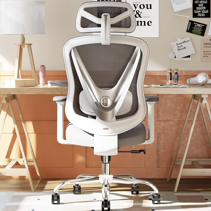 HOLLUDLE Ergonomic Mesh Office Chair - 3D Adjustable Lumbar Support & 3D Armrests, V-Shaped Back, Adjustable Desk Chair fo...