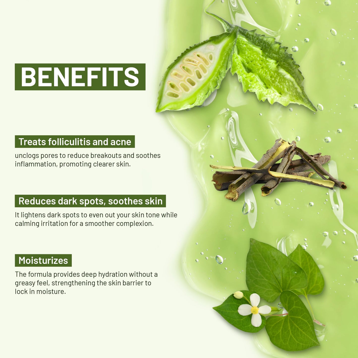 ABERA Folliculitis BHA Shower Gel, High-Performance Folliculitis Body Wash, Wild Bitter Melon Extract, Reduces Back Acne & Hyper
