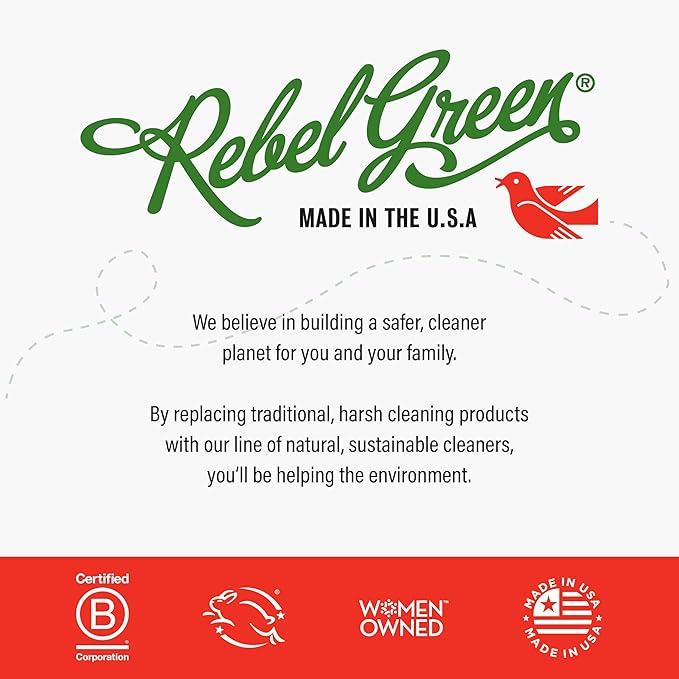 Rebel Green Sparkling Glass Spray - Streak-Free Natural Glass Cleaner for Windows, Mirrors, and Surfaces - Pink Lilac Scent - 16 oz - 2 Pack