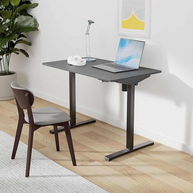 FLEXISPOT EN1 One-Piece Standing Desk 40 x 24 Inches Solid Desktop Electric Height Adjustable Desk for Home Office (Black Frame + Black Desktop)