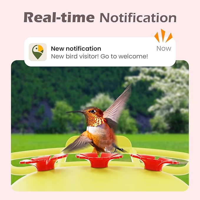 Smart Hummingbird Feeder with Camera Solar Powered, AI Identify, Instant Notification, Leakproof & Ant Moat, Outdoors Hanging, Idea Gift for Bird Lovers (20 oz)