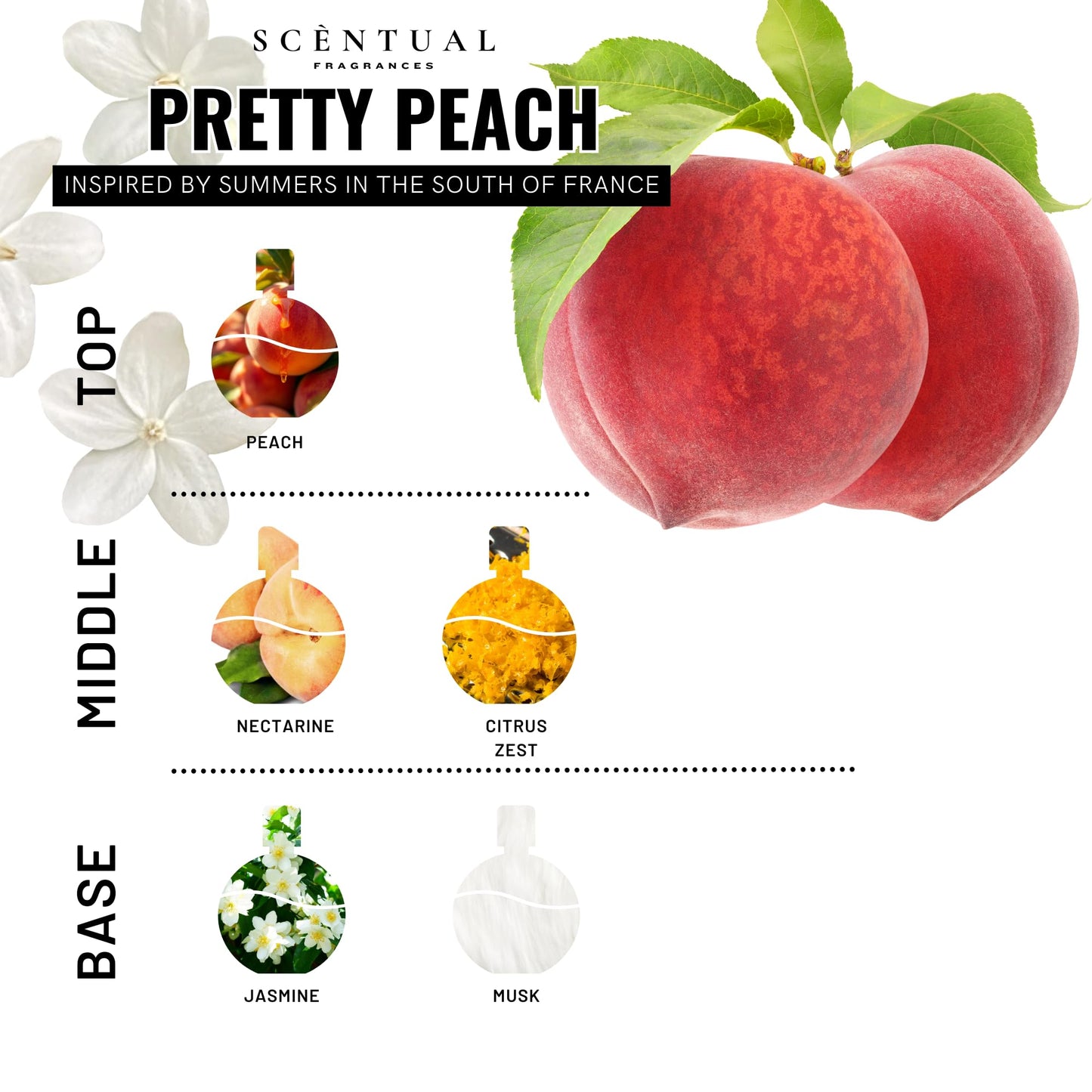 Scentual Fragrances, Luxury Perfume Oil, Ultra-Concentrated Women Roll-On Fragrance Oil, Long Lasting Rollerball Travel Mini Perfume, Vegan, Alcohol & Cruelty Free 10ml (Pretty Peach)