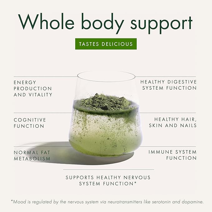 WelleCo The Super Elixir Daily Greens Powder, Probiotic Drink Mix with Whole Foods, Gluten Free, Vegan Gut Health Powder, Energy, Immunity, Healthy Skin, Hair & Nails (Jar, Pineapple & Lime Jar)