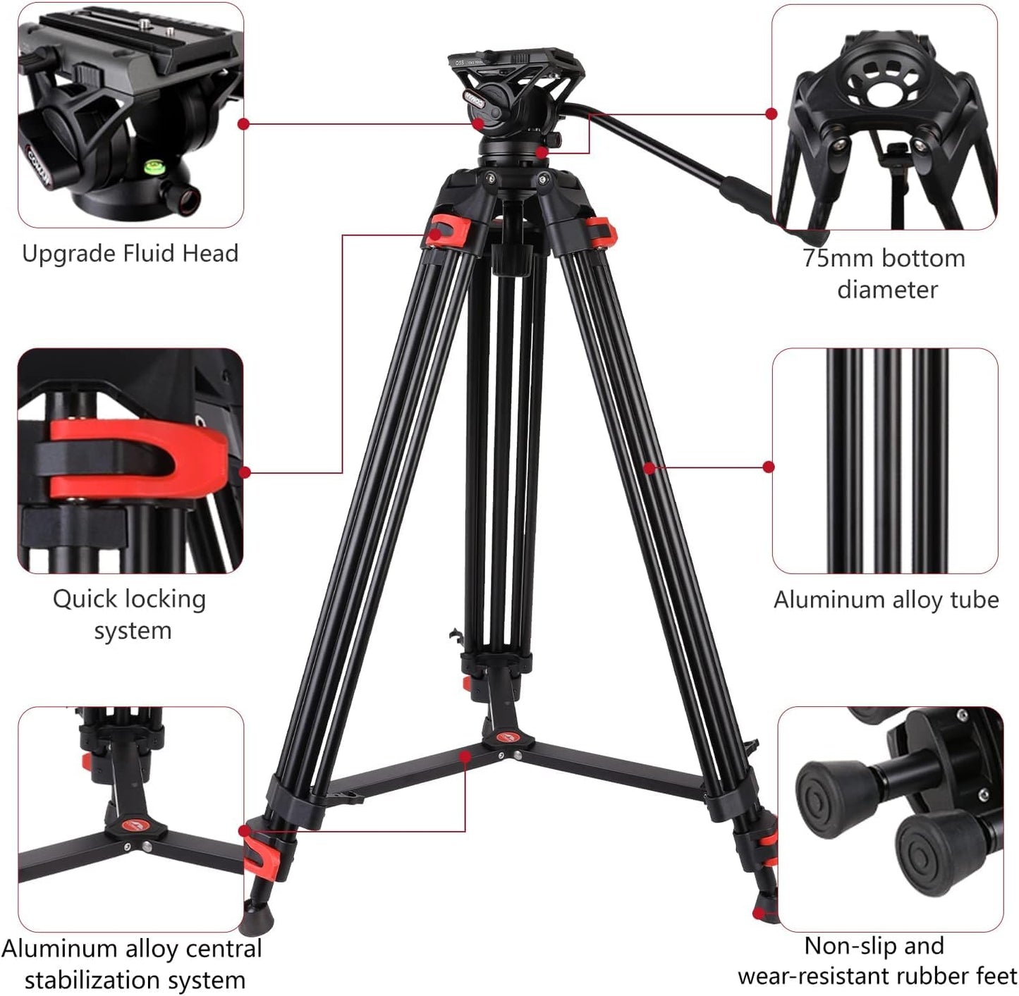 COMAN 74.4" Video Tripod, Heavy Duty Camera Tripod with Fluid Head and Aluminium Alloy Max Load 17.6 lbs/ 8KG for Canon Nikon DSLR Camcorder, DF16LS