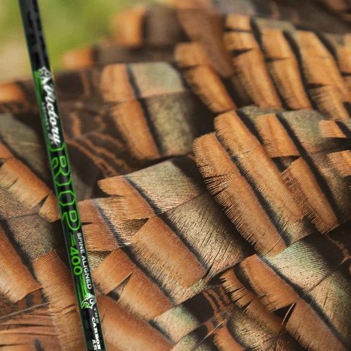 Victory Archery RIP 0.204" Small Diameter Hunting Arrow (Spine: 250, 6 Pack Fletched, Straightness ± 0.003 - Gamer - Green)