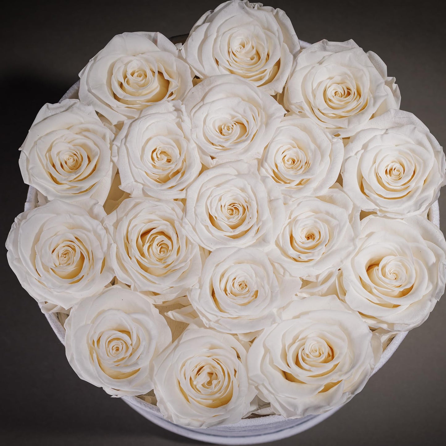 17 Flowers in a Luxury Suede Box, Birthday Gifts for Women, Preserved Flowers, Mothers Day Roses Gift for Mom, White