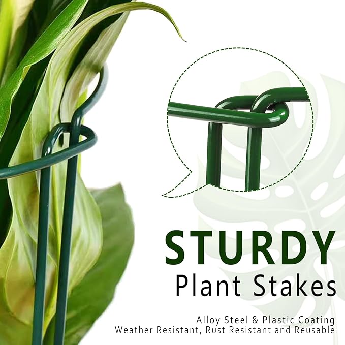 Soupiar 6 Pack Plant Support Stakes, Metal Monstera Plant Support Stakes for Indoor Plants, Large Garden Plant Support Ring, Tomato Cage, Tall Plant Holder Sticks (10" W X 15.8" H)