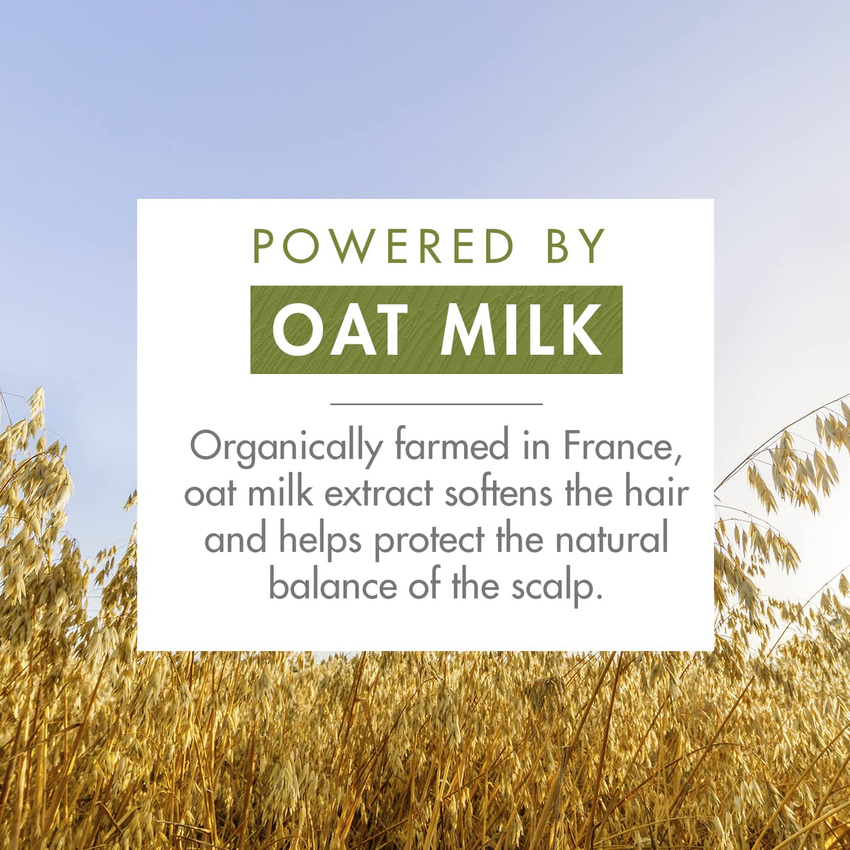 Klorane Dry Shampoo with Oat Milk - Eco-Friendly Non-Aerosol Formula - Vegan & Dermatologist Tested - Ultra-Gentle Powder Formul