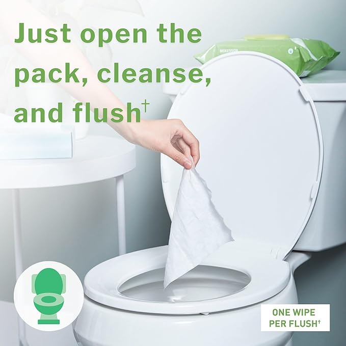 McKesson Flushable* Adult Wet Wipes – 288 Wipes (6 Pack of 48) – Aloe & Vitamin E, Plant-Based Cleansing Wipes, Scented