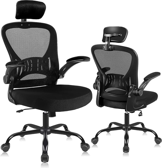ralex-chair Ergonomic Office Chair with Adjustable Headrest & Lumbar Support, Computer Desk Chair with Flip-Up Armrests, C...