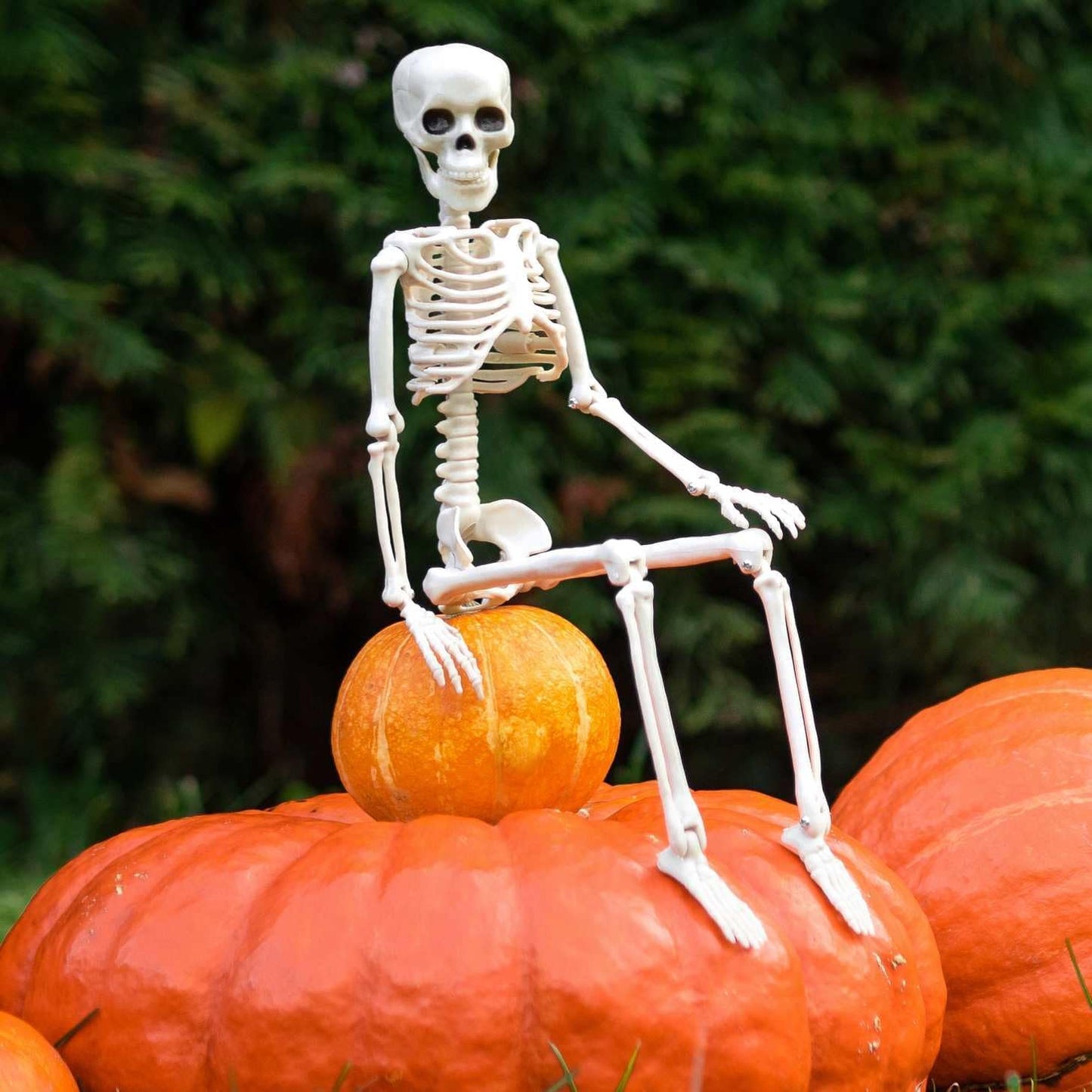 Daricano Halloween Decoration Outdoor Skeleton, 16" Plastic Posable Skeleton with Movable Joints, Small Hanging Skeletons for Halloween Decor, Haunted House Graveyard Props