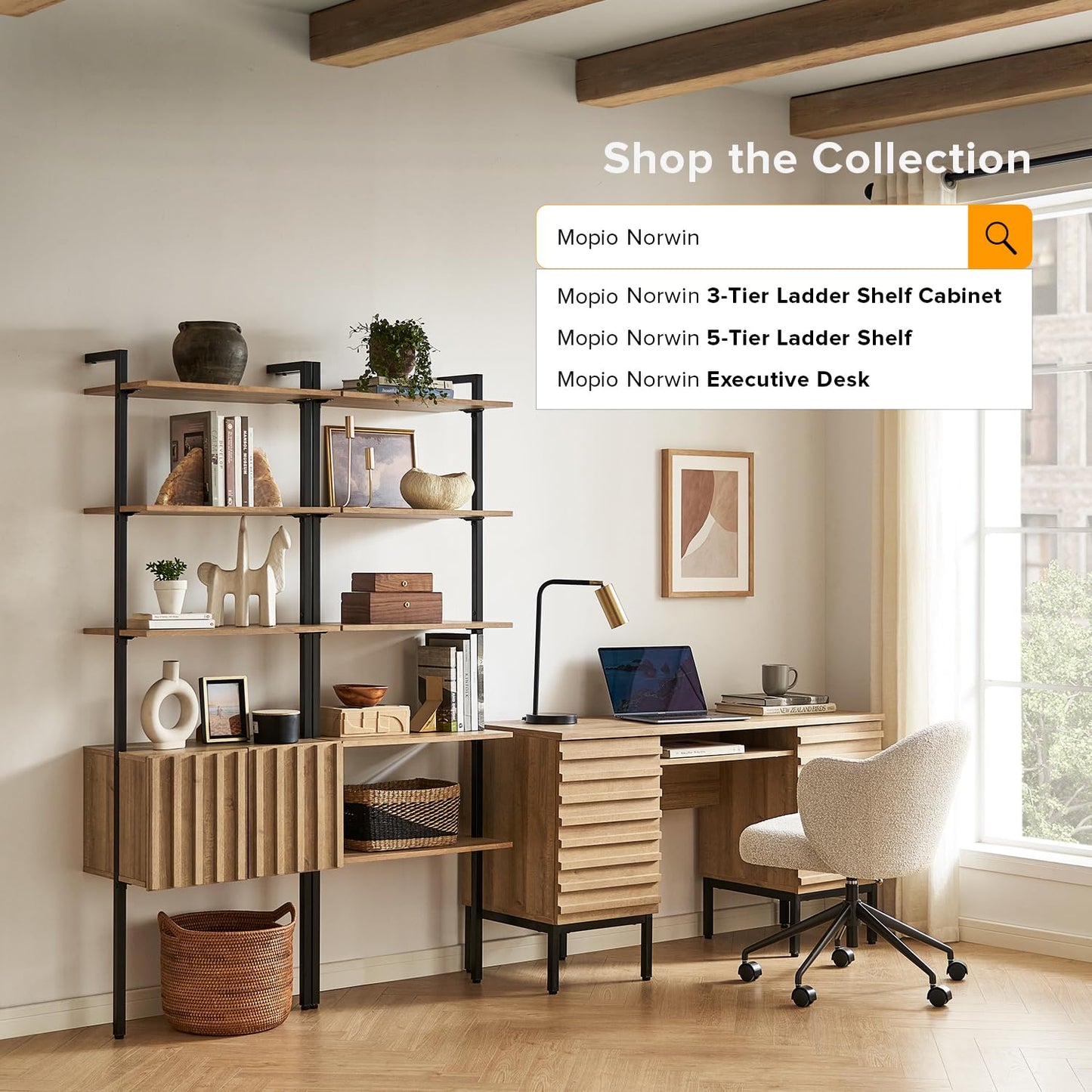 mopio Norwin Ladder Book Shelf, Wall Bookshelf, Farmhouse Industrial Bookcase, Narrow Slim Organizer Display Shelves, Living Room, Bedroom (3 Tier Cabinet, Single)