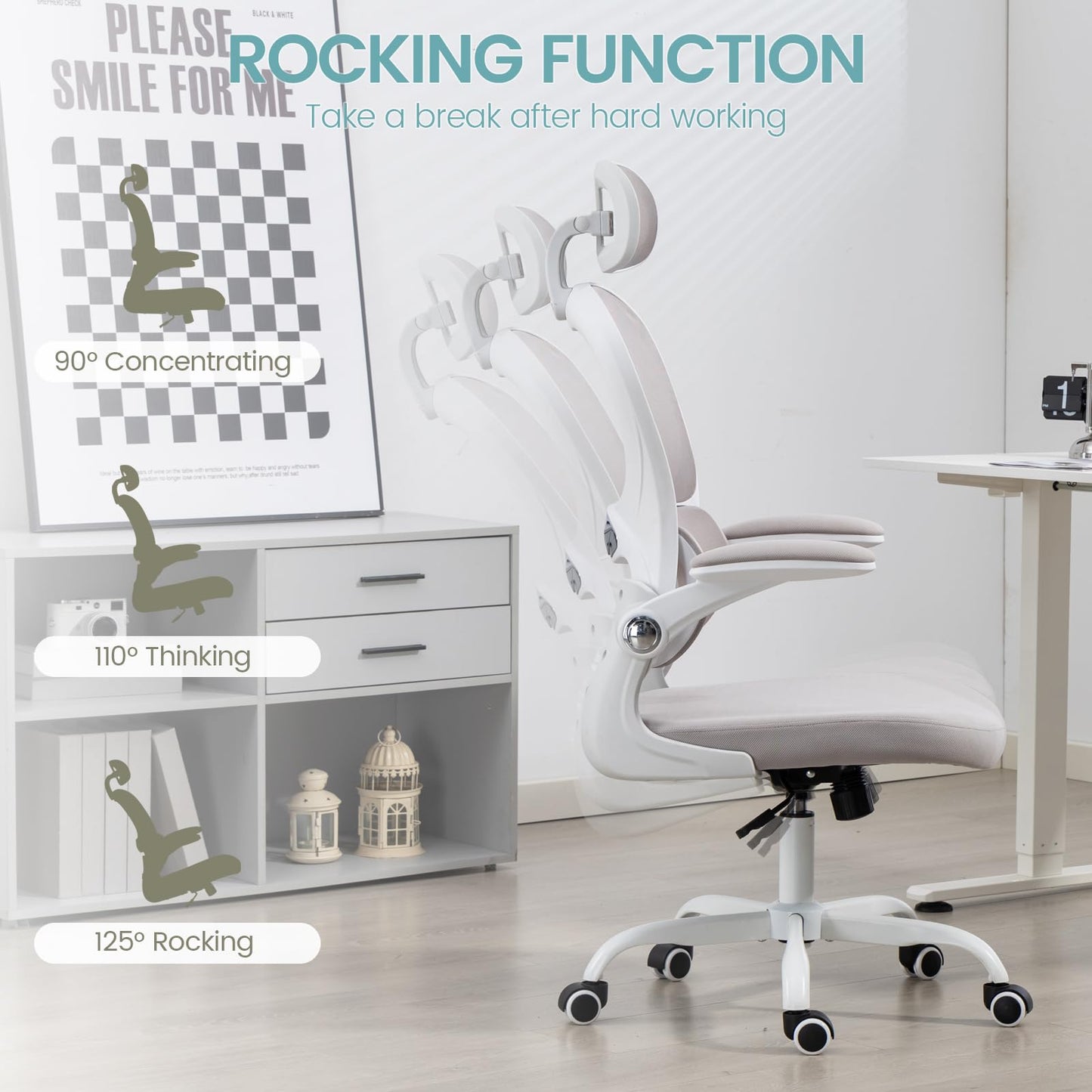 Yilaywain Ergonomic Office Chair, Home Office Desk Chair with Adjustable Headrest, High Back Computer Chair with Armrests and Lumbar Support for Home Office Study Room, Black & Gray (Grey)