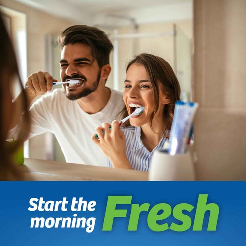 Online Best Service 1000 Toothbrushes Lot Wholesale Standard Classic Toothbrush